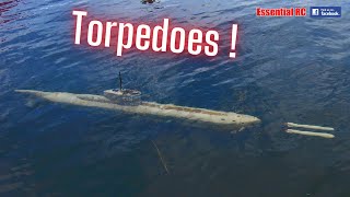 RC Submarine Double Torpedo Firing/Launch Demonstration | Do they hit the target ? screenshot 1