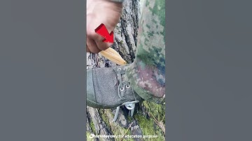 This improvised tool for climbing trees #shortvideo