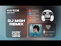 Hayedeh - Mehmoon (DJ MGH Remix)