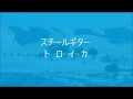 Troika (トロイカ) Steel Guitar