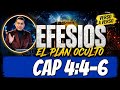 LOS 7 FUNDAMENTOS DE LA UNIDAD