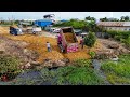 Excellent New Step Skills Dump Trucks Rock Unloading In Water And Dozer Cutting Soills Into Water