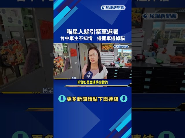 喵星人躲引擎避暑? 台中車主不知情 邊開車邊掉貓－民視新聞