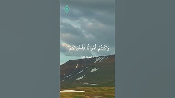 تلاوة خاشعة من سورة البقرة للقارئ الشيخ فارس عباد