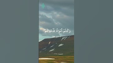 تلاوة خاشعة من سورة البقرة للقارئ الشيخ فارس عباد