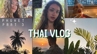 VLOG: НА НАС НАПАЛА СТАЯ СОБАК!!! / Улетаем на Самуи ✈️ ЧАСТЬ 3