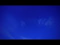 春の星空 ・ 春の大曲線 5月13日 浄土平 ZV-E1