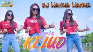 Miniatura del video "DJ WANNAWANNA SPECIAL TRIO KELUD"