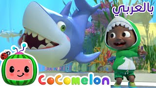 Cocomelon Arabic - Baby Shark | أغاني كوكو ميلون بالعربي | اغاني اطفال | صغير القرش