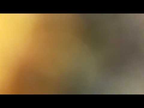 ორღულის  სკოლის  ქრონიკები