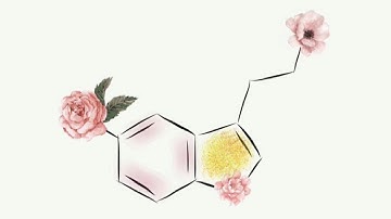 Layout Difraktogram dari Data XRD dengan Software Origin