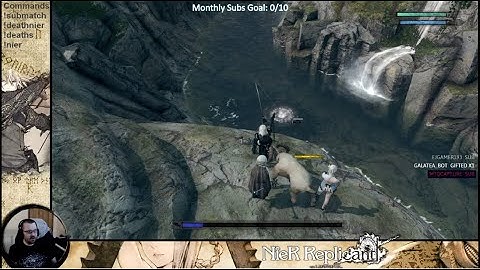Nier encounter with a goat...