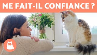 7 SIGNES que votre CHAT VOUS FAIT CONFIANCE