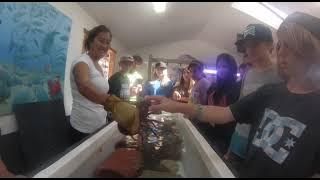 CIMI 2015 film