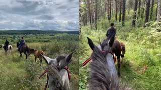 видео: АТМОСФЕРНАЯ ПРОГУЛКА С ЮНЫМ КОННИКОМ картинка: АТМОСФЕРНАЯ ПРОГУЛКА С ЮНЫМ КОННИКОМ
