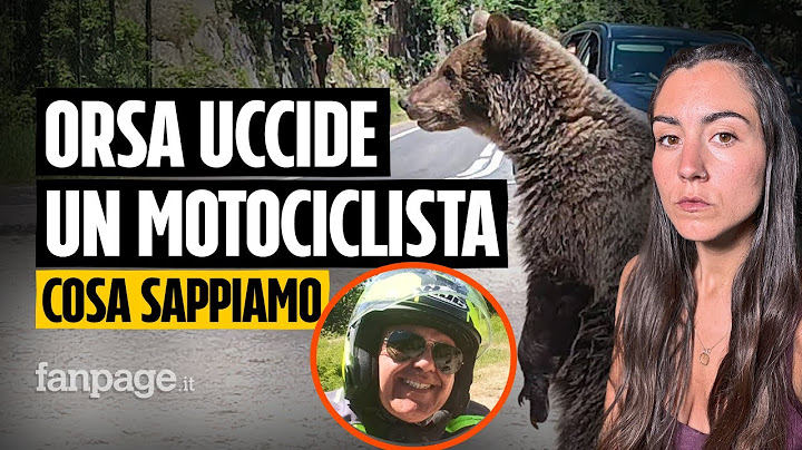 ORSA UCCIDE MOTOCICLISTA: COSA SAPPIAMO