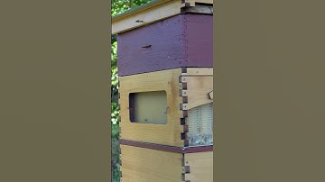 It’s important to be aware of the potential challenges you might face with the Flow Hive Pt.1