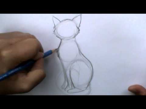 Video: How To Draw A Sitting Cat