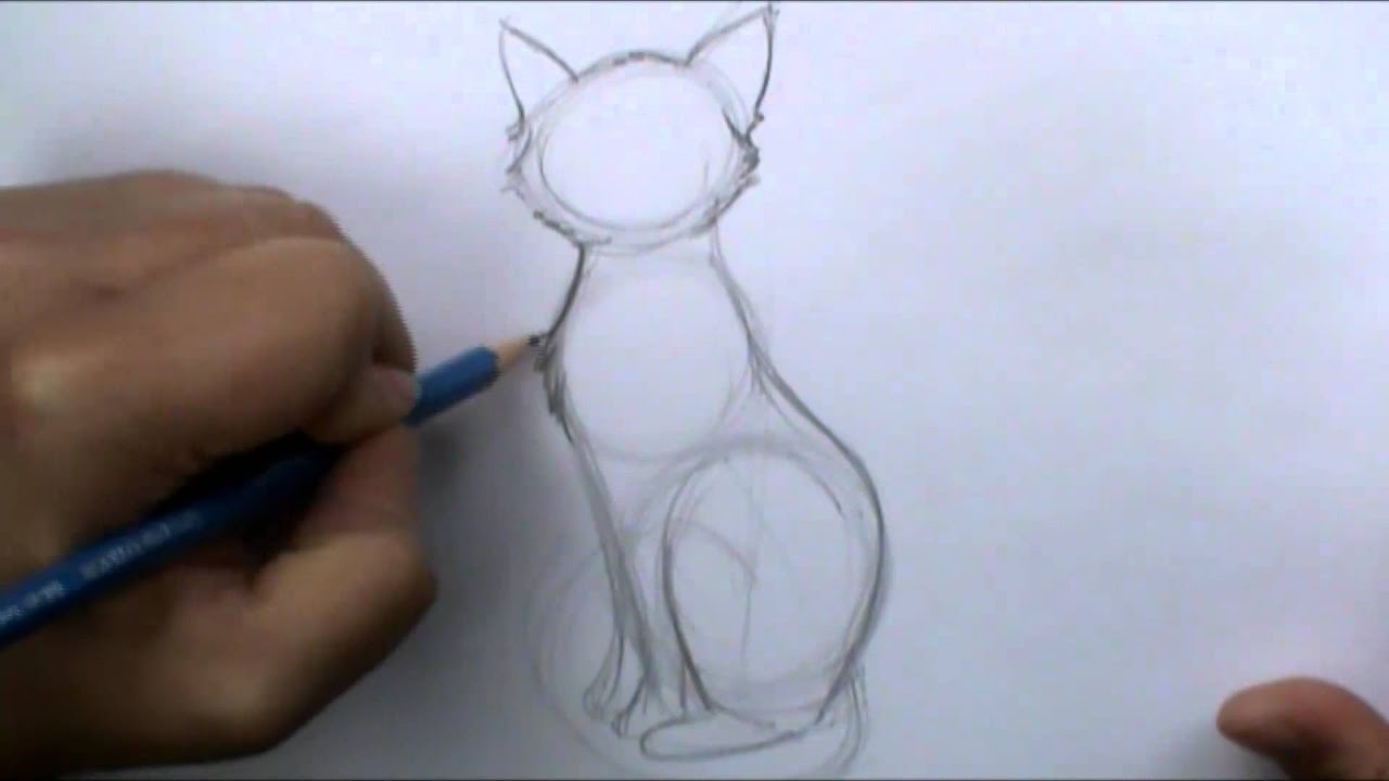 An Angry Cat Sitting On A White Background Outline Sketch Drawing