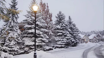 MAGICAL Winter Evening Snowfall | Beautiful Winter Snow Falling video | 4K Canada