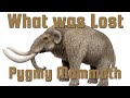 Pygmy Mammoth - The Channel Islands Mammoth - What Was Lost Ep.5