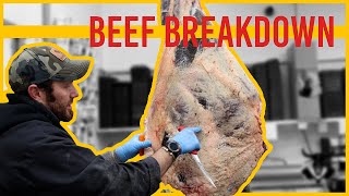 Beef Breakdown - Carcass Breakdown - Grain Finished