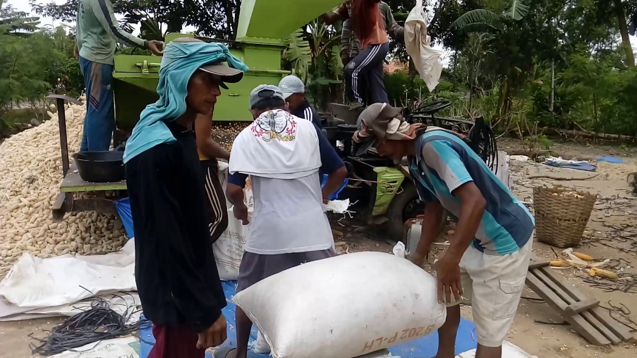 mesin perontok jagung canggih 1 ton 14 menit mesin perontok jagung canggih 1 ton 14 menit