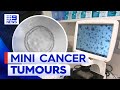 Mini cancer tumours are being grown at a private hospital to improve treatment | 9 News Australia