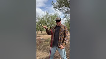 First test with the varmit getter was a success! #fortheboys #varmitgetter #GOPHER #fullsend #philyp