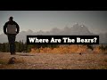 Wildlife Photography! Grand Teton National Park. Elk, Moose, Bison, and Bears?