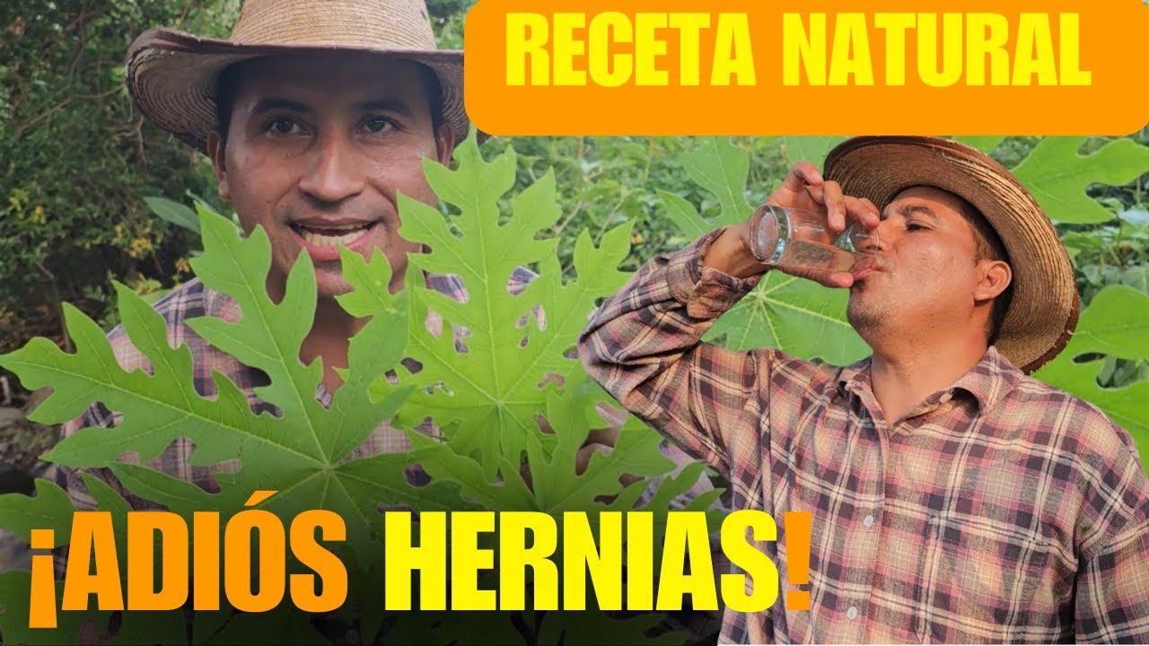 Hernia: el remedio casero con cojollos de papaya