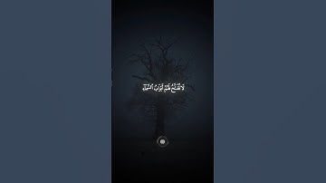 القرآن الكريم #القرآن_الكريم #القرآن #تلاوة_خاشعة #راحة_نفسية