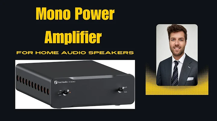 The Truth Fosi Audio V3 Mono Power Amplifier