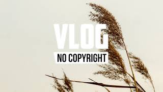 LiQWYD - I Need You (Vlog No Copyright Music)