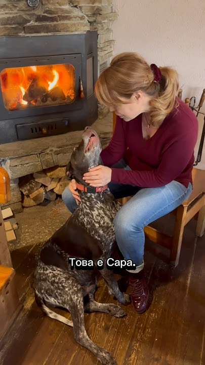 Понякога големите кучета са най-гушливи - YouTube