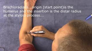 Meridian Pen, Electric Acupuncture pen and how it works.
