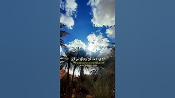 تلاوة هادئة #viral #اكسبلور #راحة_نفسية #المصحف #قرآن #لايك #الرحمن #حالات_واتس #fypシ゚viral
