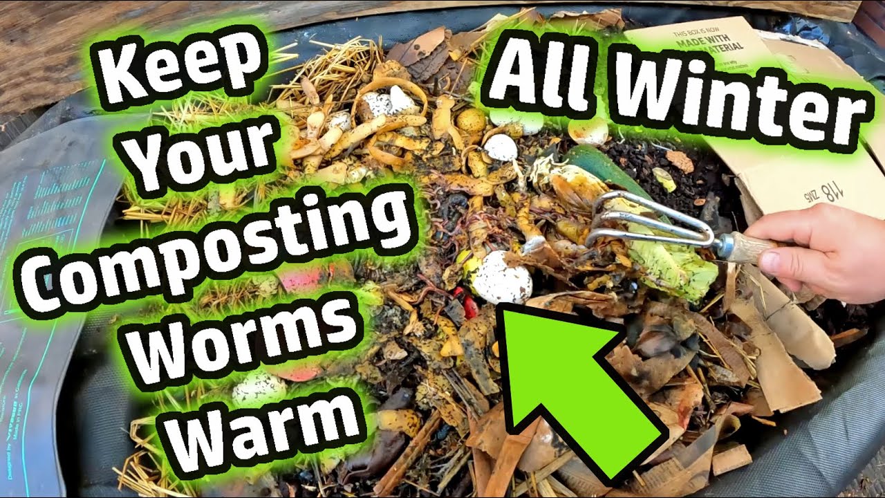 How Do You Keep A Worm Bin Warm?