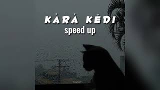 Melis fis - kara kedi [speed up] Resimi