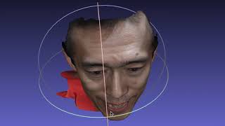 3D Face Photo, With Bellus 3D Camera ,Software Meshlab
