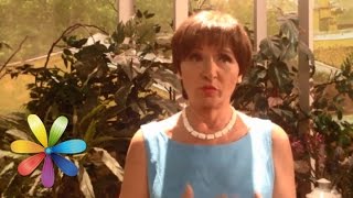 Помогают ли похудеть БАДы? Советы Светы Фус специально для Youtube Помогают ли похудеть БАДы? Советы Светы Фус специально для Youtube