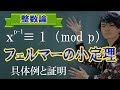 【初等整数論17】フェルマーの小定理【数学　整数論】