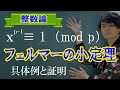 【初等整数論17】フェルマーの小定理【数学　整数論】