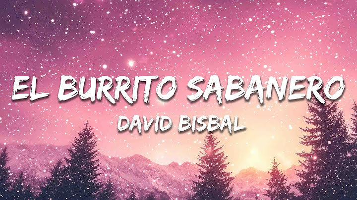 David Bisbal - El Burrito Sabanero  (Letra / Lyrics)