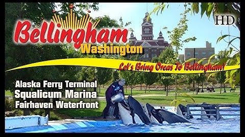 Bellingham Washington Visitor Info - Bellingham Washington