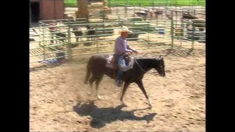 Fillies with 30 days with Clint Weaver