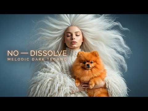 No — DISSOLVE  Melodic Dark Techno