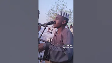 محمد مصطفى الحامدابي الزول ياجنا جننا 