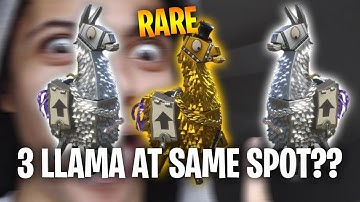 MYTH FINDS 3 LLAMAS AT SAME SPOT! - Fortnite Battle Royale WTF & Funny Moments Episode. 124