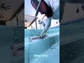 #reelschallenge